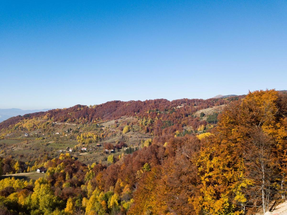 Sunset View Ski & Spa Apartments Копаоник Экстерьер фото
