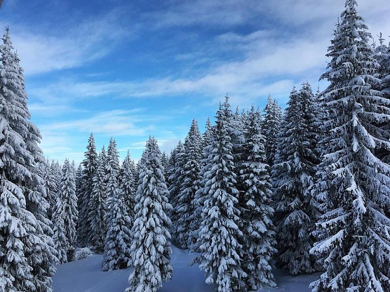 Sunset View Ski & Spa Apartments Копаоник Экстерьер фото